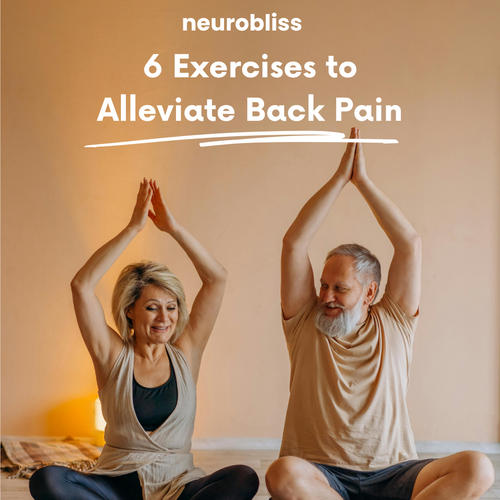 Ebook - 6 Exercises to Alleviate Back Pain [PDF DOWNLOAD]